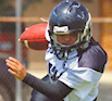 Sports Concussions